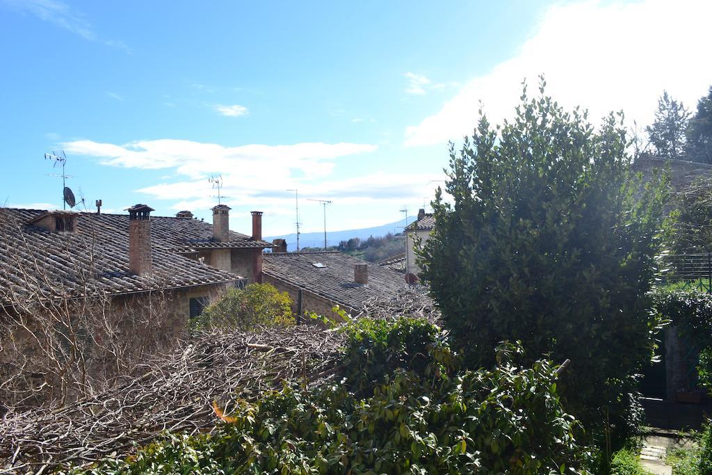 Rocci Al 17